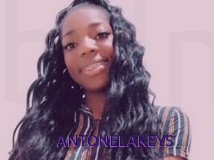 ANTONELAKEYS