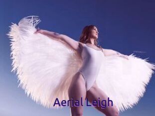 Aerial_Leigh