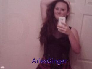 AriesGinger