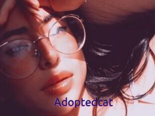 Adoptedcat