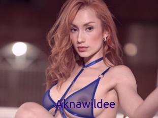 Aknawildee