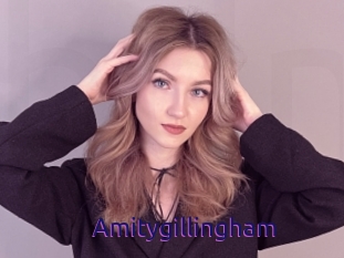 Amitygillingham