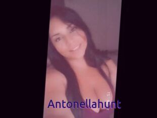Antonellahunt