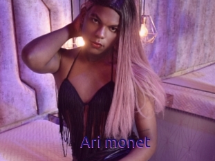 Ari_monet