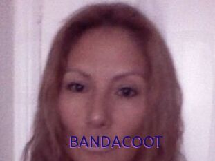 BANDACOOT
