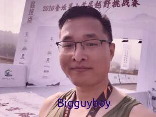 Bigguyboy