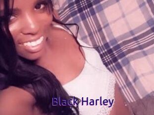 Black_Harley