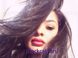 Blackcatforu