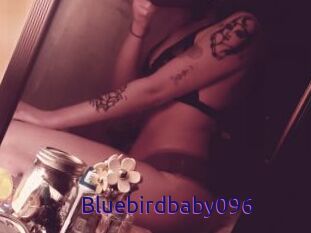 Bluebirdbaby096