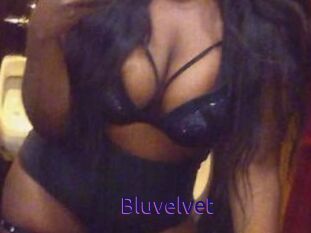 Bluvelvet
