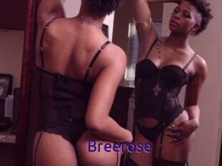 Breerose