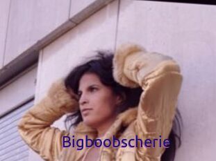 Bigboobscherie