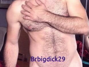 Brbigdick29