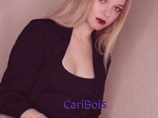 CariBois