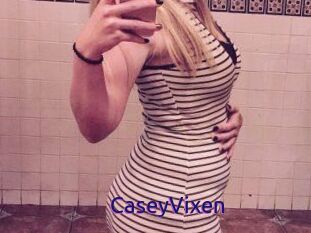 CaseyVixen