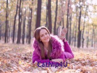 CatNip4U