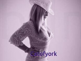 Catofyork