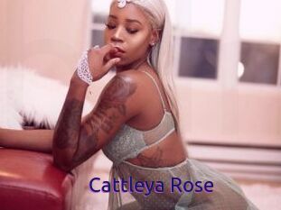 Cattleya_Rose