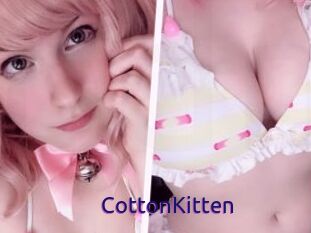 CottonKitten