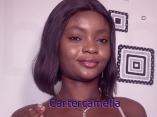 Cartercamelia