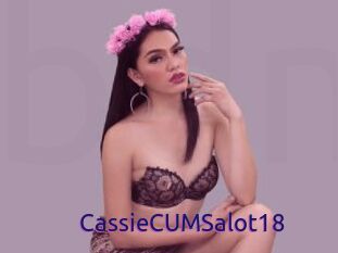 CassieCUMSalot18
