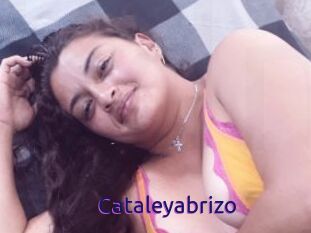 Cataleyabrizo