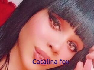 Catalina_fox