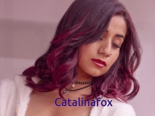 Catalinafox
