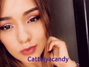 Cattleyacandy