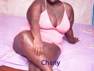 Chany