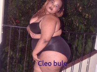 Cleo_bule