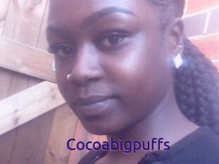Cocoabigpuffs