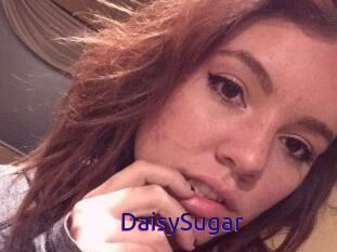 Daisy_Sugar