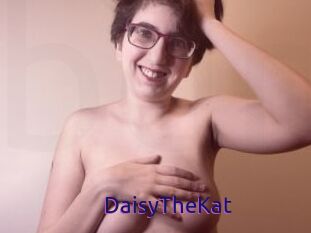 DaisyTheKat