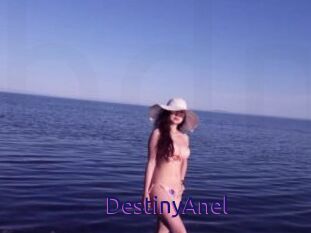 DestinyAnel