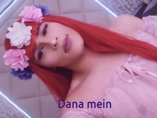 Dana_mein
