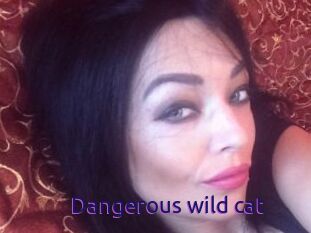 Dangerous_wild_cat