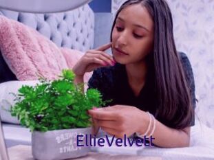 EllieVelvett