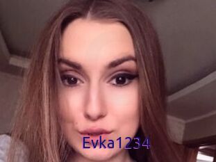 Evka1234