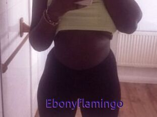 Ebony_flamingo