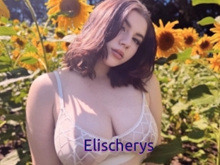 Elischerys