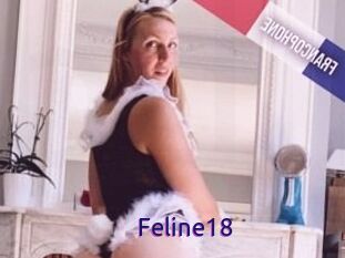 Feline18