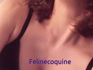 Felinecoquine