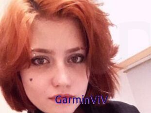 GarminViV