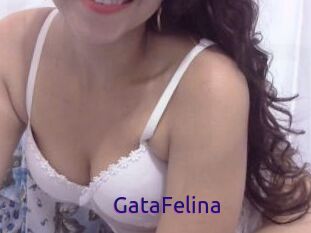 GataFelina
