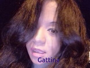 Gattina