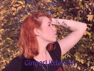 GingerLittleKitty