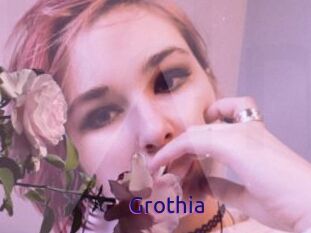 Grothia