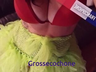 Grossecochone
