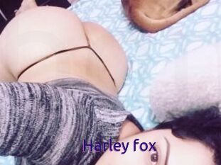 Harley_fox